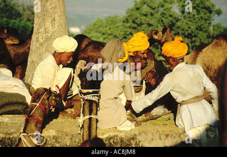 camel traders at Pushkar camel fair Rajasthan India Stock Photo