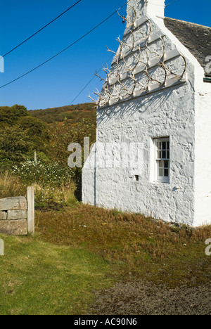 dh  BERRIEDALE CAITHNESS Deer hunting lodge antler on side of white washed cottage Stock Photo