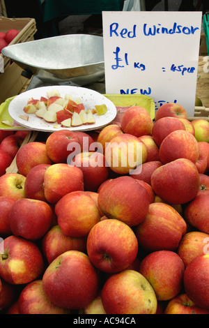 Red Windsor apples for sale and samples on a stall at the annual Abergavenny Food Festival Monmouthshire Wales UK Stock Photo