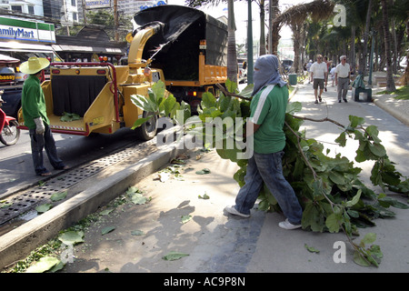 'Tree Shredding and Street Maintenance Crew on Beach Road in Pattaya Thailand' Stock Photo