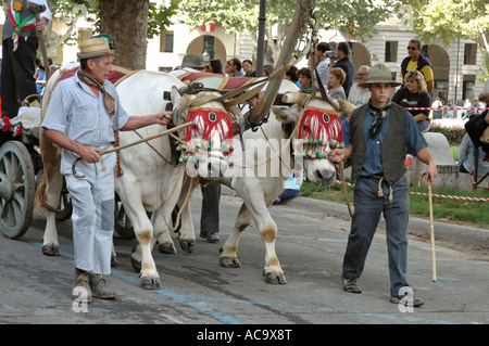 Asti Piemont Italy festival delle Sagre parade with traditional farmer customs Stock Photo