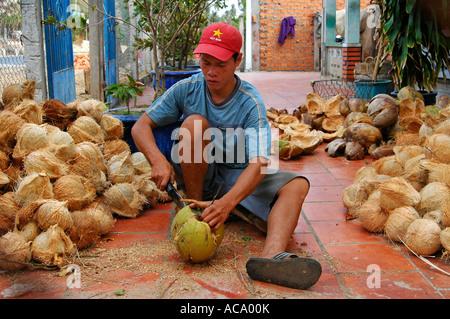 Young man de-husking coconuts, Phan Thiet, Vietnam Stock Photo