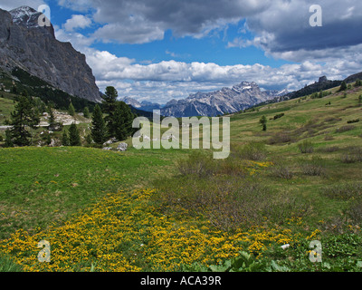 View from Passo die Falzarego to Cortina d'Ampezzo, Dolomites, South Tyrol, Italy Stock Photo