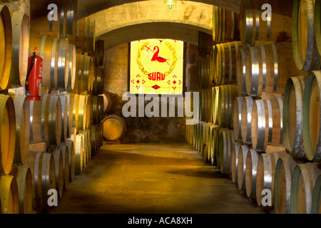 Brandy cellar in the Bodega Suau on Majorca, Spain Stock Photo