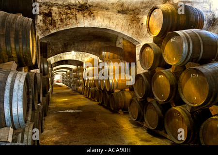 Brandy cellar in the Bodega Suau on Majorca, Spain Stock Photo