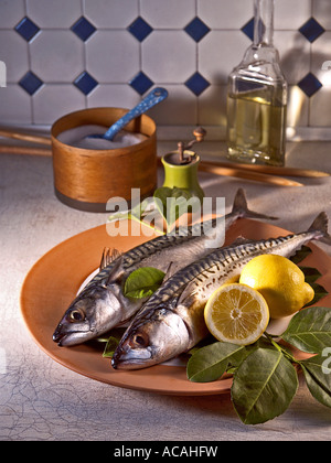 Mackerels for Steckerlfisch Stock Photo