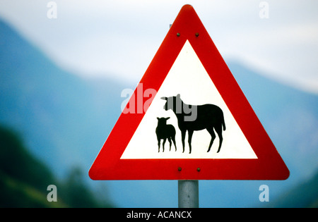 Traffic sign, indication of sheep Stock Photo