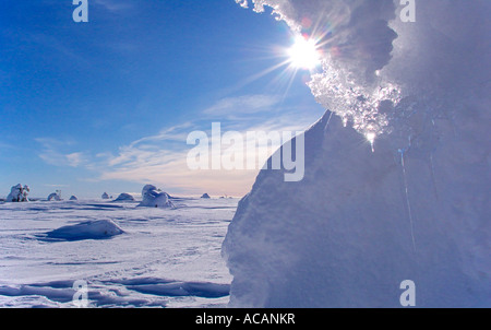 Snow formation, Akaskero Nature Resort, Akaslompolo, Kolari, Lappland, Finnland Stock Photo