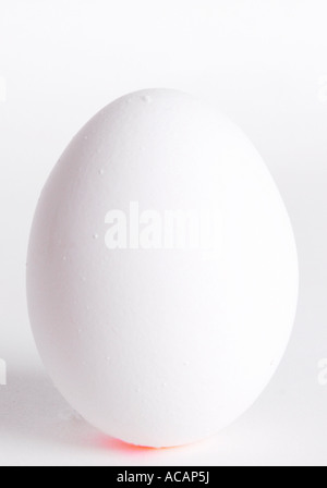 Egg Stock Photo