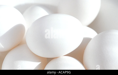 White eggs Stock Photo