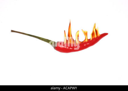 Burning chili Stock Photo