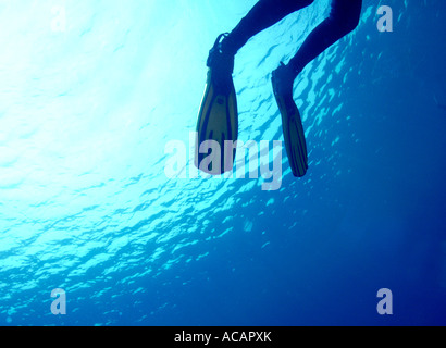 Diver Dahab, Sinai, Egypt Stock Photo