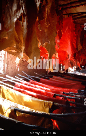 Dyed goat skins hang drying at Chouwara tannery in the medina, Fes el Bali, Fes  Morocco Stock Photo