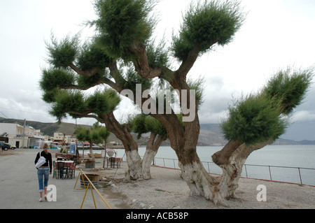 embankment in Kissamos (Kastelli) town, greek isle of Crete Stock Photo