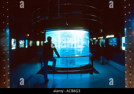 Aquariums in the Oceanographic Museum of Monaco Stock Photo