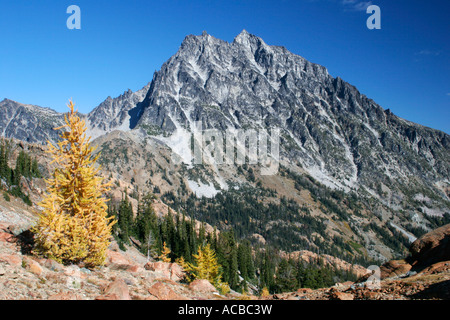 Mount Stuart above fall larches in Headlight Basin Alpine Lakes ...