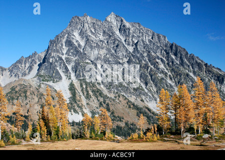 Mount Stuart above fall larches in Headlight Basin Alpine Lakes ...