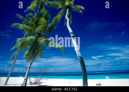 Palm trees white sandy beach blue sea Bird Island Seychelles Indian Ocean Stock Photo