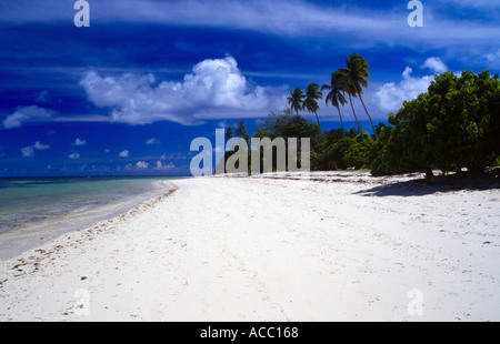 Beach scene Desroches Island Amirantes Seychelles Indian Ocean Stock Photo