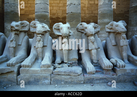 Ram-headed sphinxes between the first and second pylons at Karnak, Luxor, Egypt Stock Photo