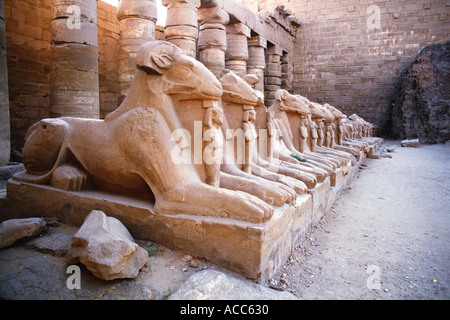 Ram-headed sphinxes between the first and second pylons at Karnak, Luxor, Egypt Stock Photo