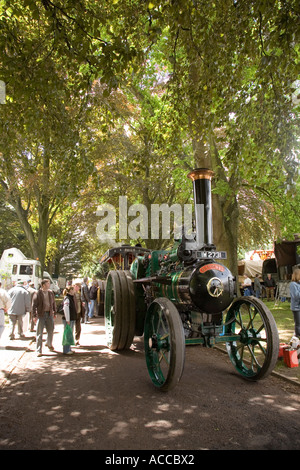 Traction engines on display at steam fair Bayley Park Abergavenny Wales UK Stock Photo