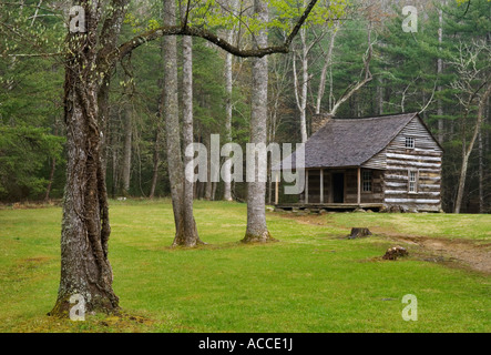Carter Shields Cabin Cades Cove Great Smoky Mountains National Park Tennessee Stock Photo