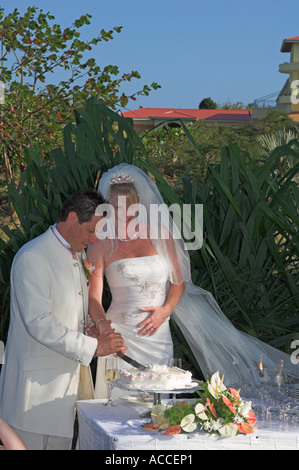 Bride and groom cutting wedding cake Stock Photo