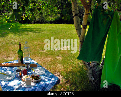 PR setted table with wine cheese and bread on a meadow beneath bath towels on a clothesline Stock Photo