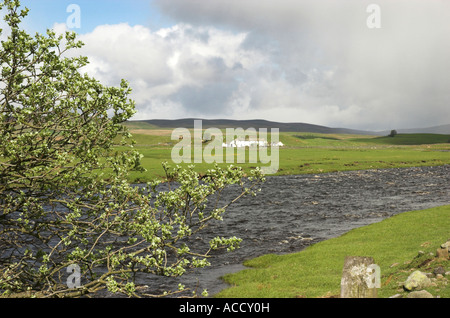 Upper Teesdale View with River Tees in foreground. Stock Photo