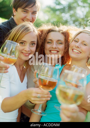 Friends toasting. Stock Photo