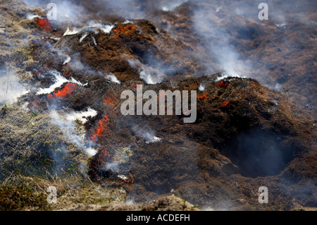Withered grass burning in Mosfellsheidi Iceland Stock Photo