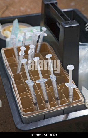 Zoo veterinary Dr. Sandra Silinski's toolbox containing syringes with a serum against bird flu to protect zoo birds Stock Photo