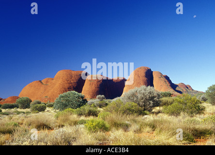 Kata Tjuta The Olgas Northen Territory Australia Stock Photo