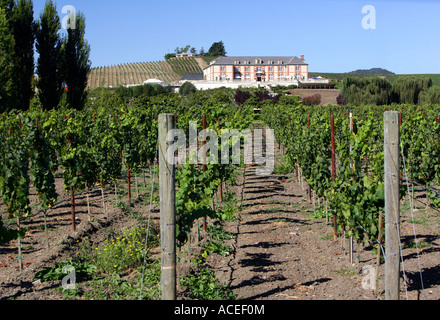 Napa County, vineyards Domaine Carneros of Napa Valley Stock Photo