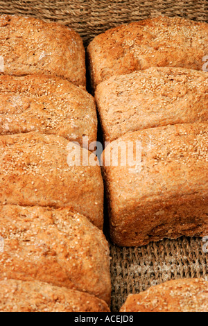 Organic wholemeal loaves topped with sesame seeds Stock Photo