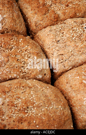 Crusty organic Wholemeal loaves topped with sesame seeds Stock Photo