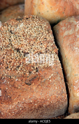 Freshly baked organic crusty loaf topped with sesame seeds Stock Photo