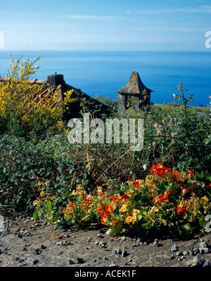 old house with chimney covered by flowers Madeira Portugal Europe. Photo by Willy Matheisl Stock Photo