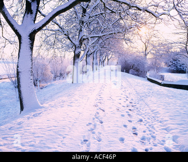 Dike in Buren in the winter Stock Photo