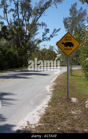 Gopher tortoise sign on dunlop road, Sanibel Island, Florida, United States, usa Stock Photo