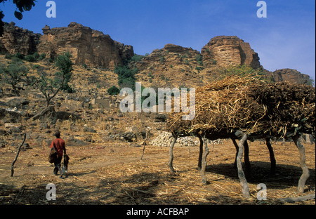 Scenic view of Dogon village near Bandiagara escarpment, Dogon country Mali Stock Photo