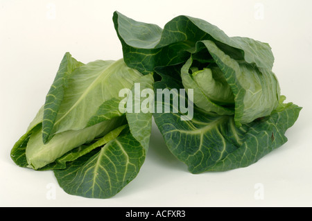 Vegetable produce typical supermarket bought pointed cabbages Stock Photo