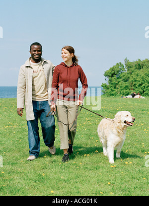 A smiling couple walking a dog. Stock Photo
