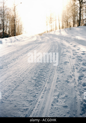 Tire tracks on a snowy road leading into the woods with snow covered ...
