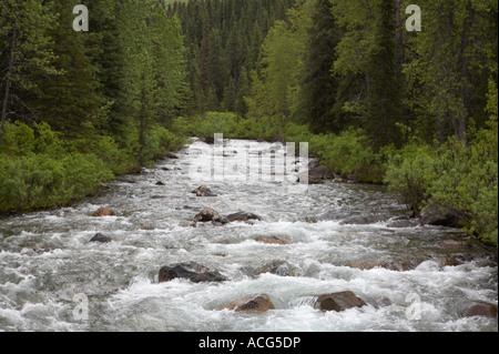 Willow Creek along Hatcher Pass Road in the Talkeetna Mountains Alaska Stock Photo
