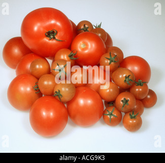 Cherry standard and beefsteak tomatoes shop produce Stock Photo
