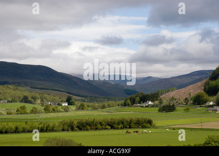 Folda a hamlet in Glen Isla, Angus, Scotland  Scottish glen near Alyth village, Perthshire Scotland uk Stock Photo