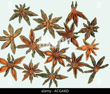 Star anise fruit Pimpinella anisum as purchased for cooking Stock Photo