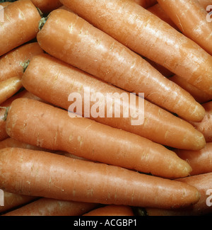 Carrots washed and prepared for shop sale Stock Photo